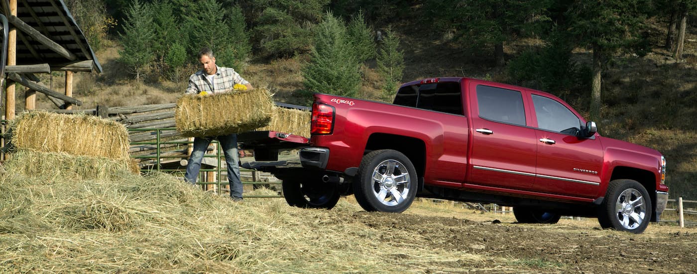 A person is shown loading hay bales in the bed of a red 2014 Chevy Silverado 1500 LTZ.