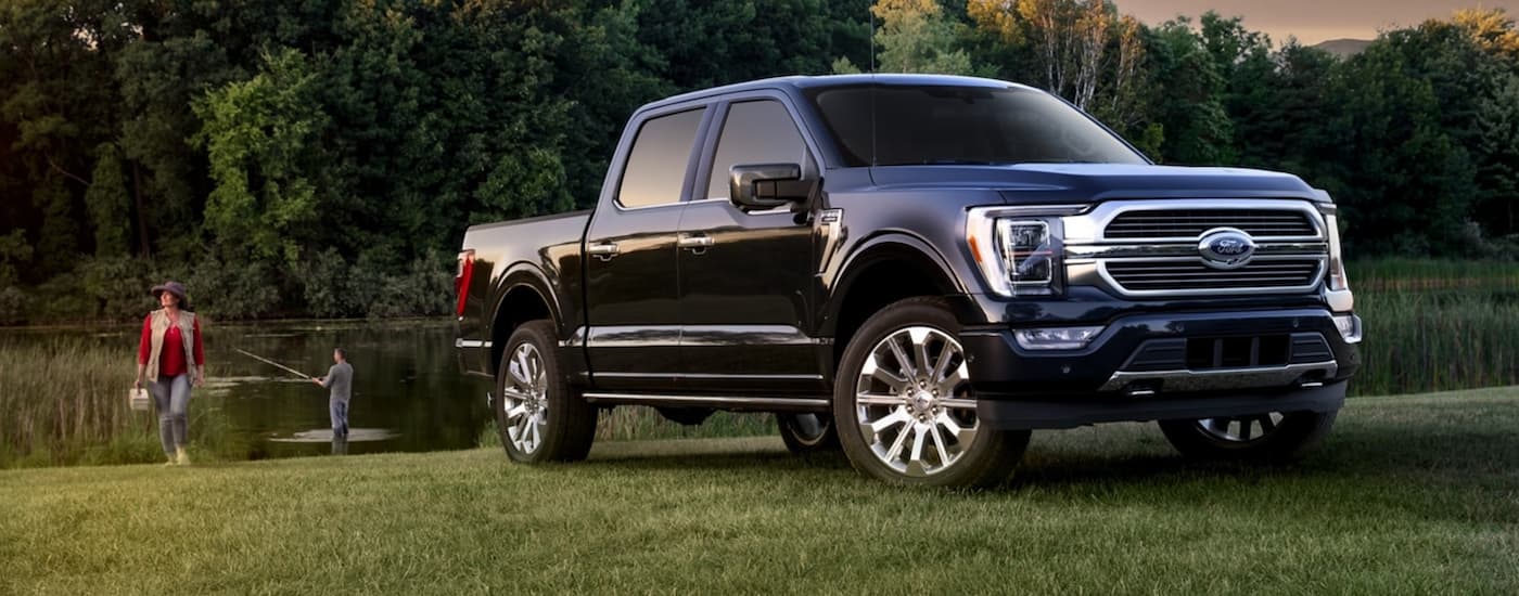 A black 2021 Ford F-150 is shown parked on grass near a pond.