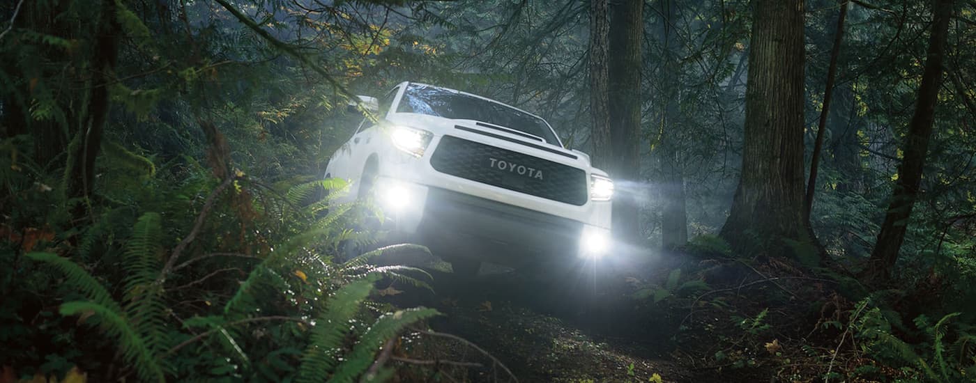 A white 2020 Toyota Tundra TRD Pro is shown off-roading in the woods.